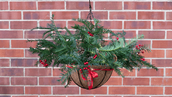 Christmas Hanging Basket