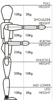 Height-Weight-Illustration